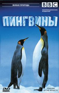 ВВС: Пингвины / BBC: Penguins of the Antarctic (2006)